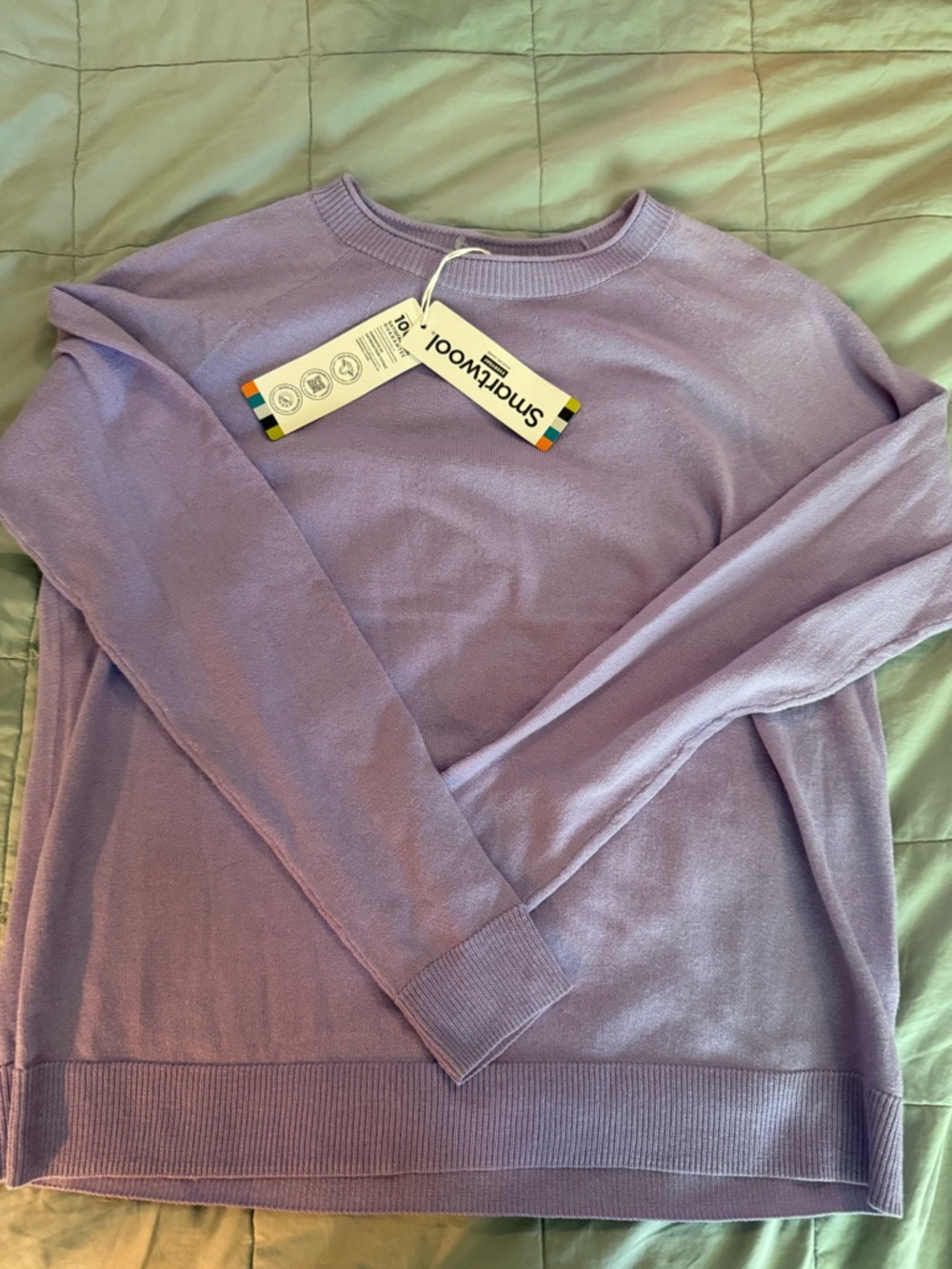 Smartwool Crewneck Sweater in Lavender